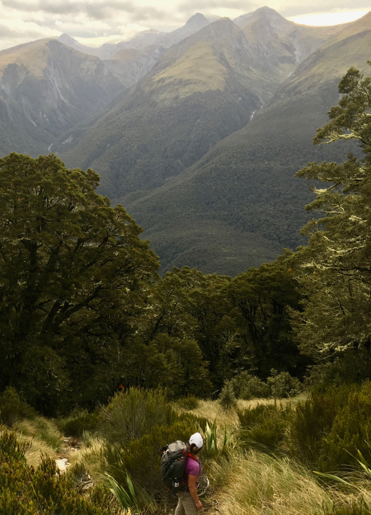 Cresting the tree line on the way to Brewster Hut in New Zealand